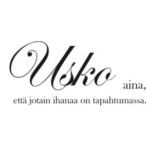 Usko aina